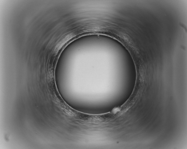 X0000101221073200807071342