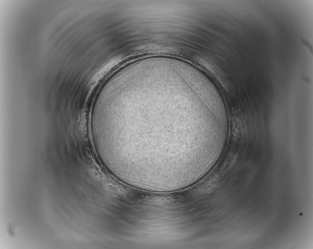 X0000101221074200807071342