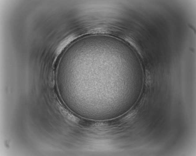 X0000101221075200807071342