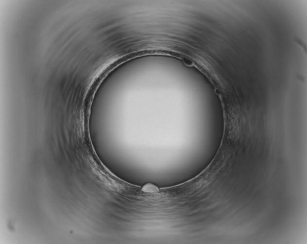 X0000101221076200807071342