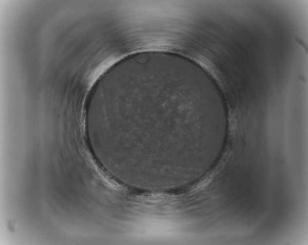 X0000101221077200807071342