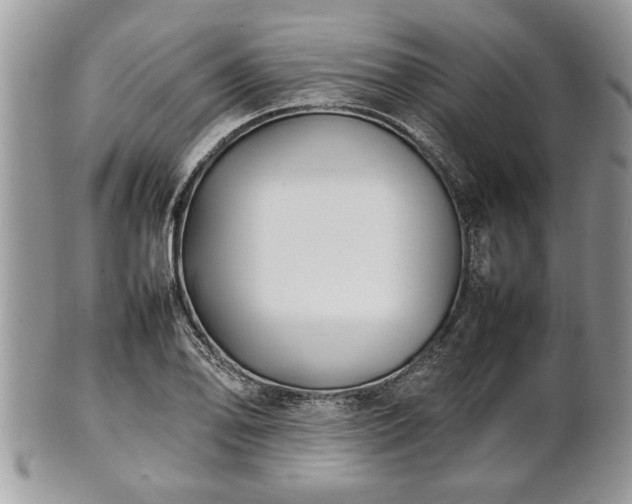 X0000101221078200807071342