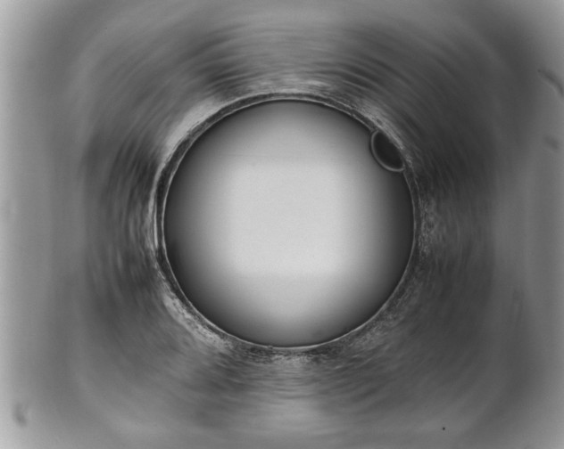 X0000101221080200807071342