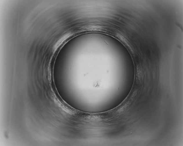 X0000101221082200807071342