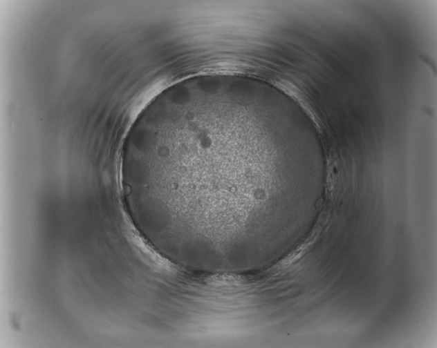 X0000101221083200807071342