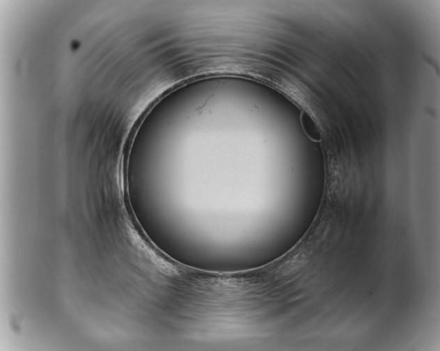 X0000101221084200807071342