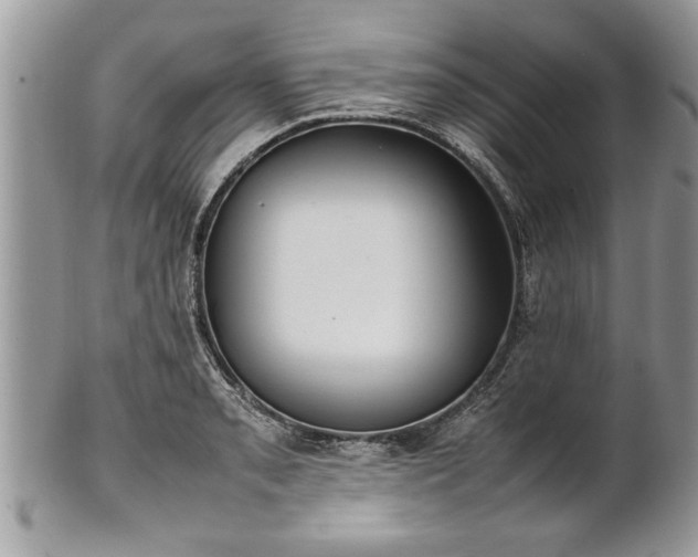 X0000101221085200807071342