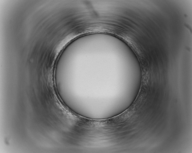X0000101221086200807071342