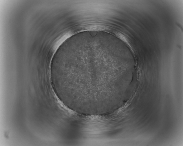 X0000101221087200807071342