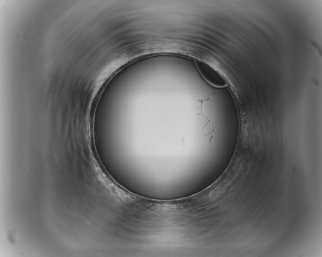 X0000101221088200807071342