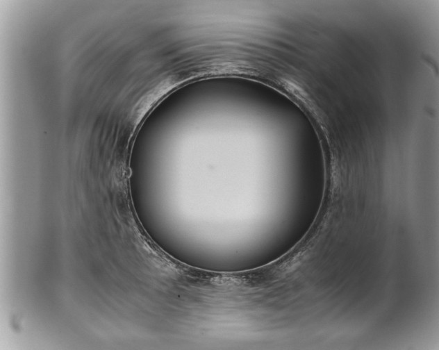 X0000101221089200807071342