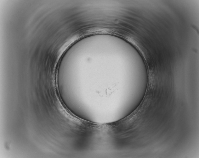 X0000101221090200807071342