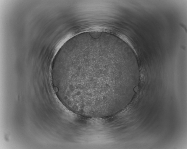 X0000101221091200807071342