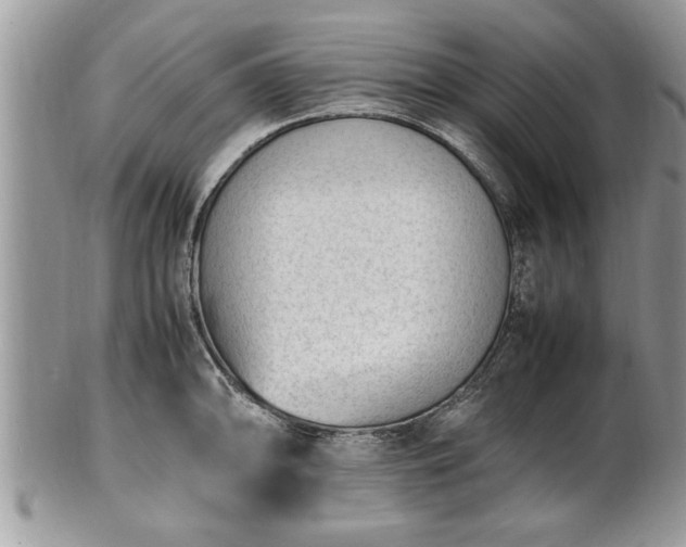 X0000101221094200807071342