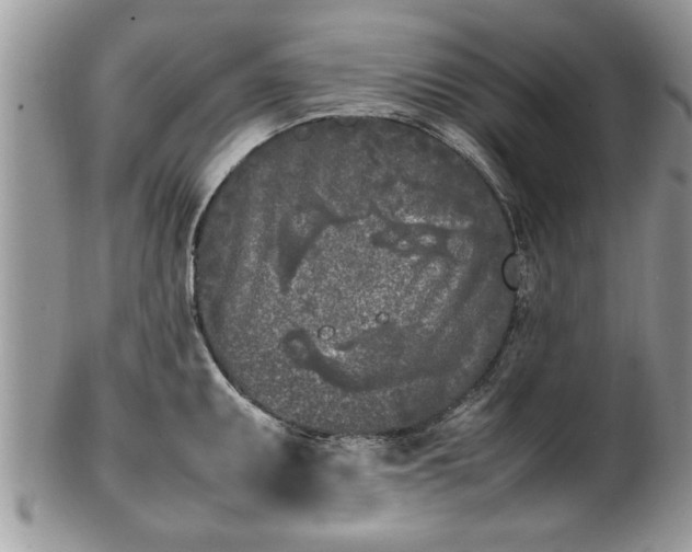 X0000101221095200807071342