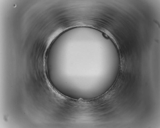 X0000101221096200807071341