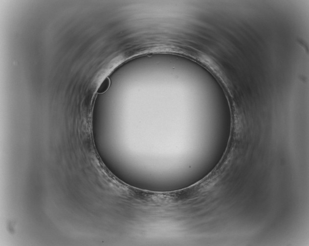 X0000101221097200807071341