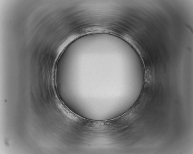 X0000101221098200807071341