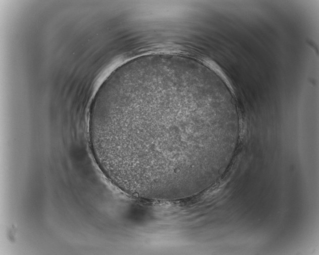X0000101221099200807071341