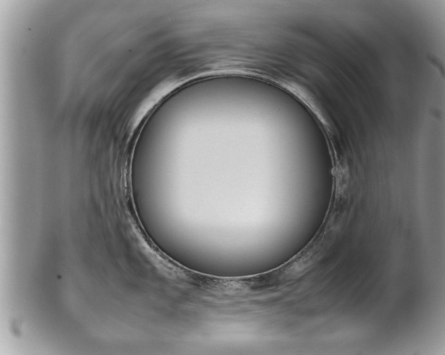 X0000101221101200807071341