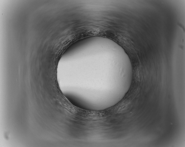 X0000101221105200807071340