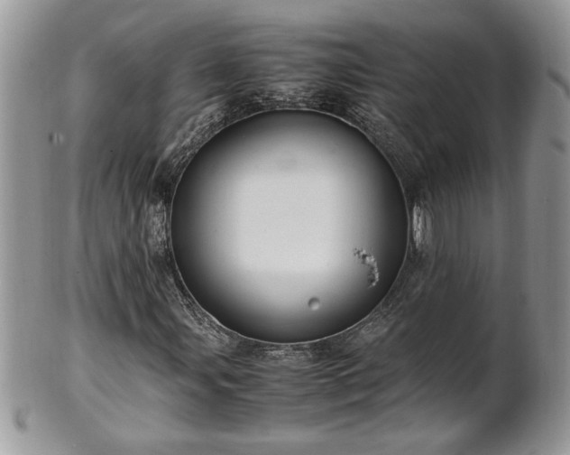 X0000101221107200807071341