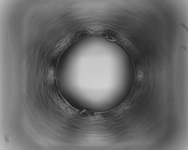 X0000101221108200807071341