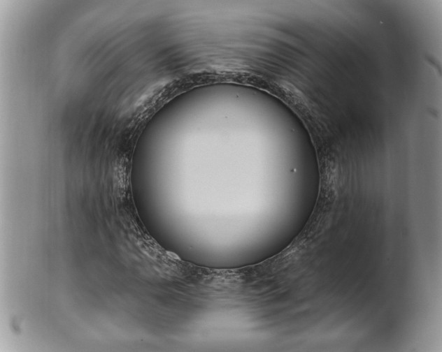 X0000101221110200807071341