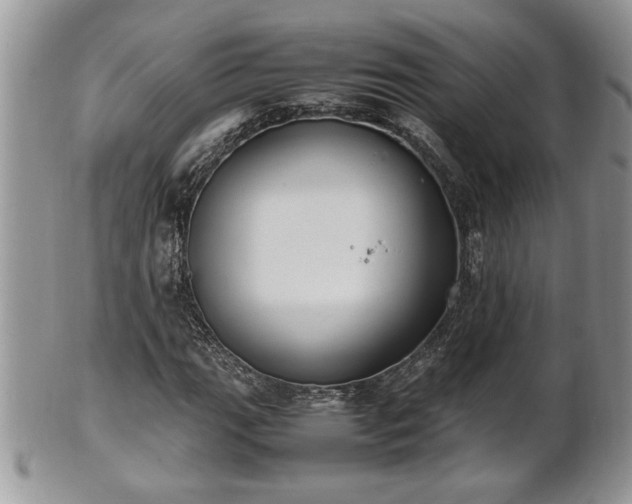 X0000101221111200807071341