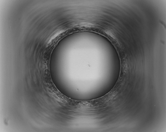 X0000101221112200807071341