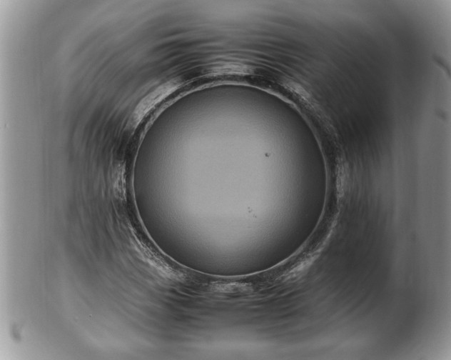 X0000101221113200807071341
