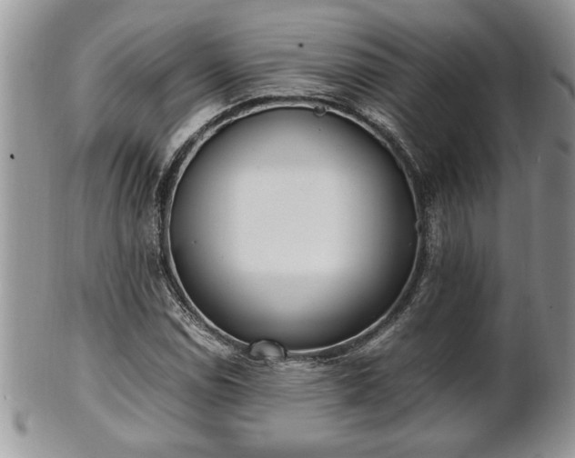 X0000101221114200807071341