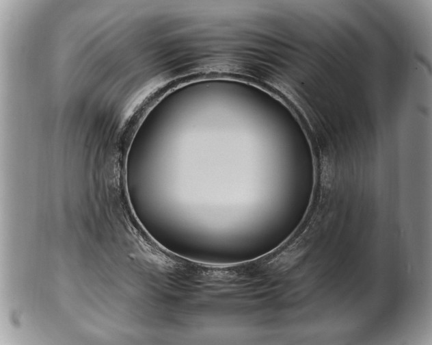X0000101221115200807071341