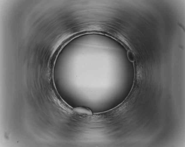 X0000101221116200807071341