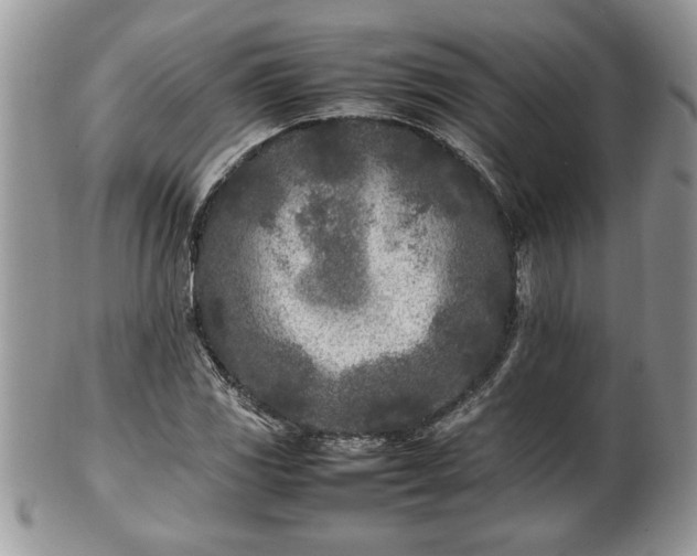 X0000101221117200807071341