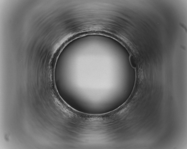 X0000101221118200807071341