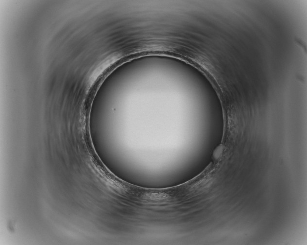 X0000101221119200807071341