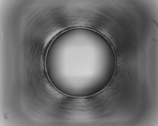 X0000101221120200807071341