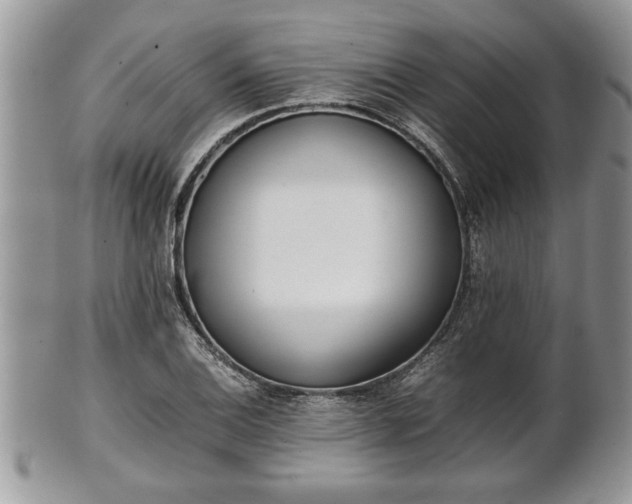 X0000101221124200807071341