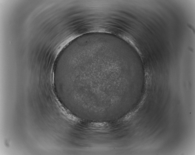 X0000101221125200807071341