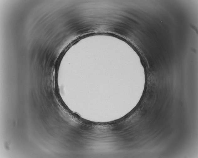 X0000101221126200807071341
