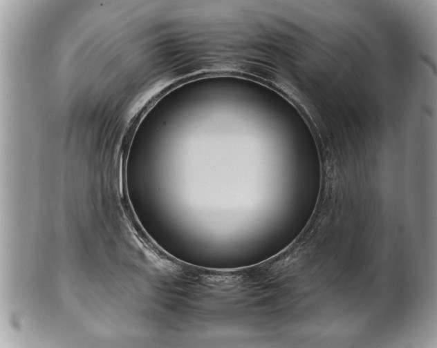 X0000101221127200807071341