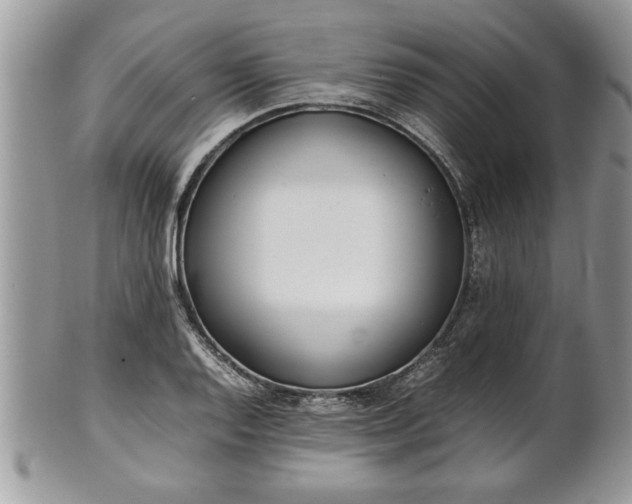 X0000101221128200807071341