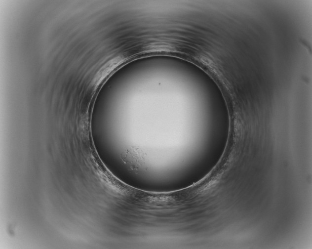 X0000101221129200807071341