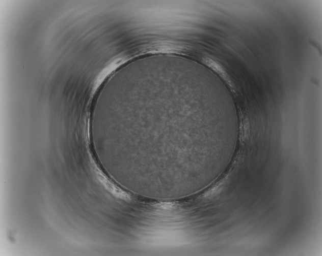 X0000101221130200807071341