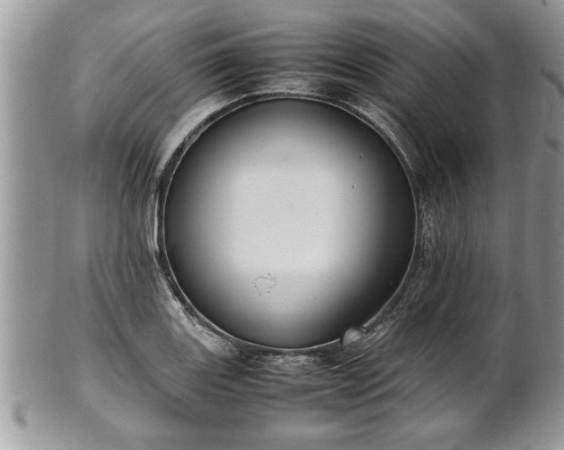 X0000101221131200807071341