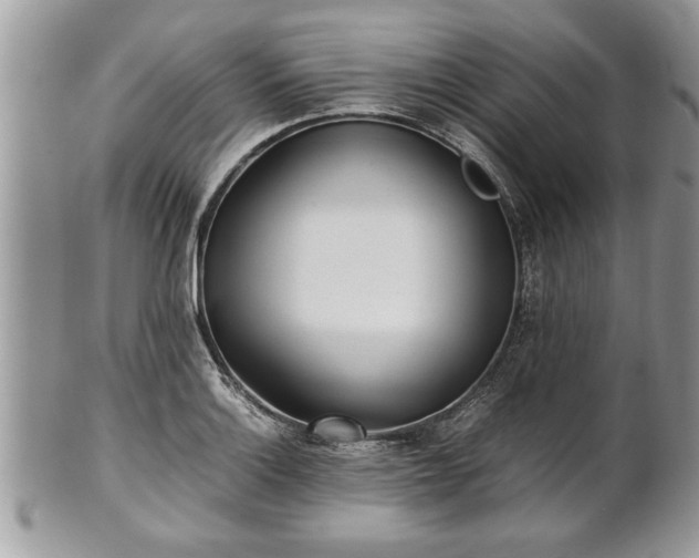 X0000101221132200807071341