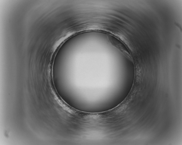X0000101221134200807071341