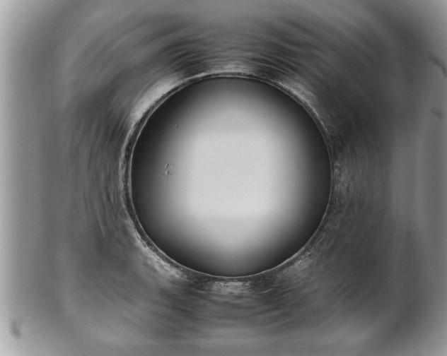 X0000101221135200807071341
