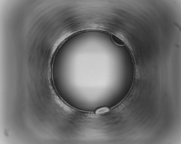 X0000101221136200807071341